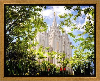 Salt Lake Glimpse of Eternity Gallery Wrap