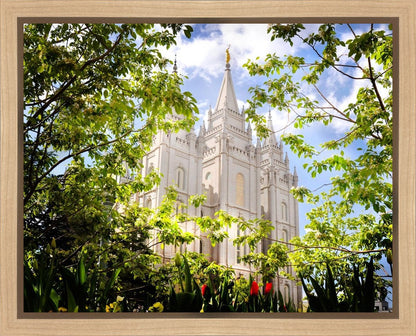 Salt Lake Glimpse of Eternity Gallery Wrap