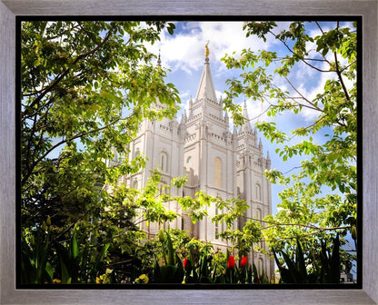 Salt Lake Glimpse of Eternity Gallery Wrap