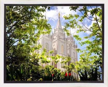 Salt Lake Glimpse of Eternity Gallery Wrap