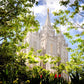 Salt Lake Glimpse of Eternity