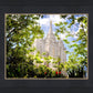 Salt Lake Glimpse of Eternity