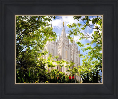 Salt Lake Glimpse of Eternity