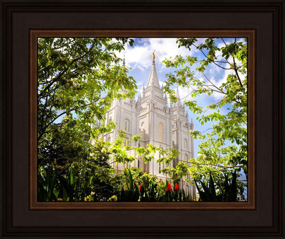 Salt Lake Glimpse of Eternity