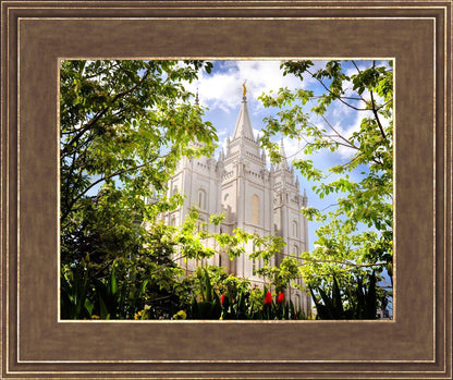 Salt Lake Glimpse of Eternity