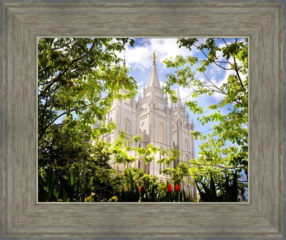 Salt Lake Glimpse of Eternity