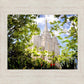 Salt Lake Glimpse of Eternity