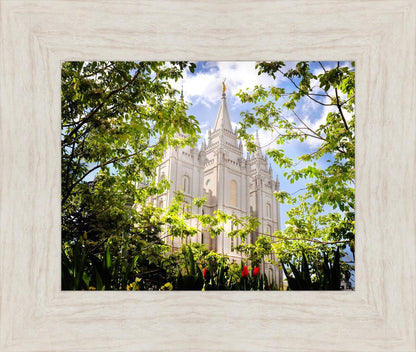 Salt Lake Glimpse of Eternity