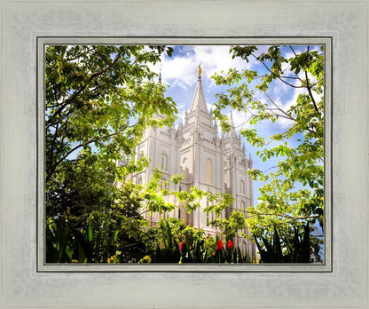 Salt Lake Glimpse of Eternity