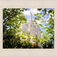Salt Lake Glimpse of Eternity