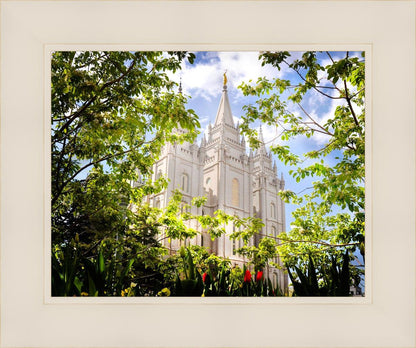 Salt Lake Glimpse of Eternity