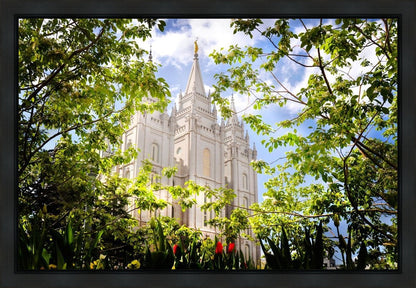 Salt Lake Glimpse of Eternity Gallery Wrap