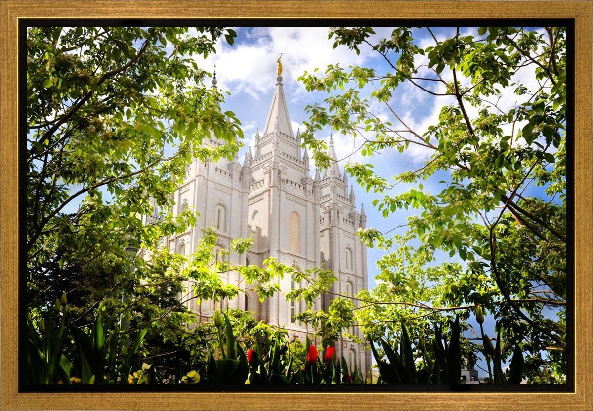 Salt Lake Glimpse of Eternity Gallery Wrap
