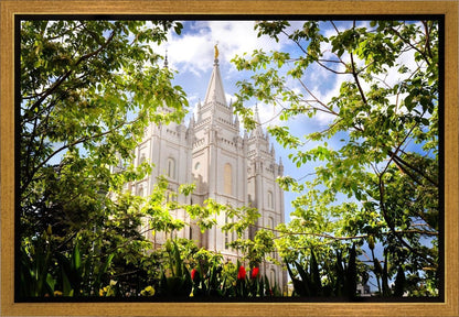 Salt Lake Glimpse of Eternity Gallery Wrap