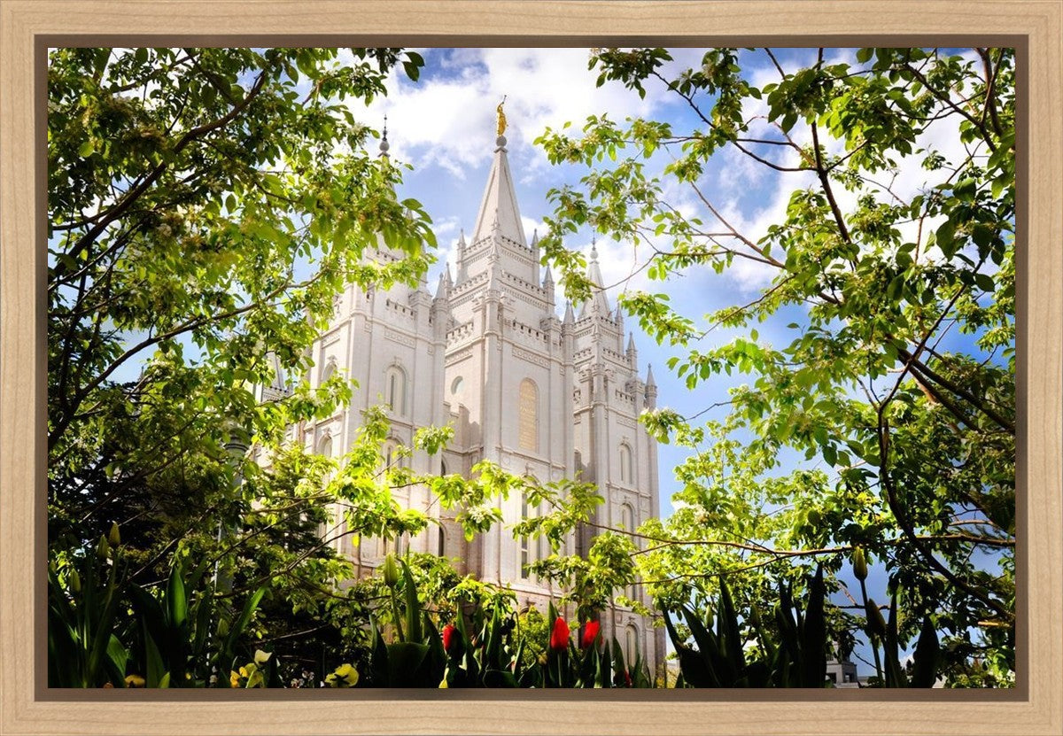 Salt Lake Glimpse of Eternity Gallery Wrap