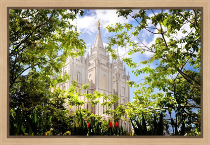Salt Lake Glimpse of Eternity Gallery Wrap