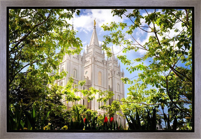 Salt Lake Glimpse of Eternity Gallery Wrap