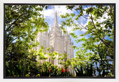 Salt Lake Glimpse of Eternity Gallery Wrap
