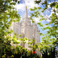 Salt Lake Glimpse of Eternity