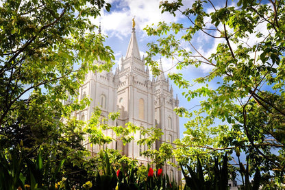 Salt Lake Glimpse of Eternity