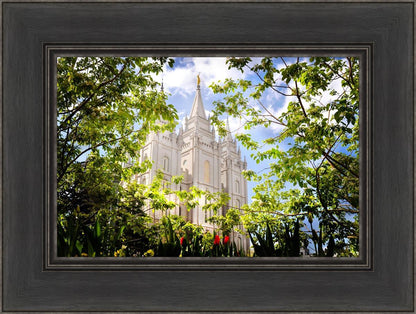 Salt Lake Glimpse of Eternity