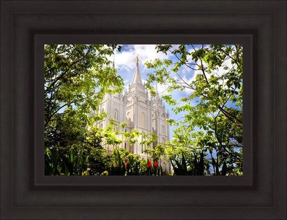 Salt Lake Glimpse of Eternity