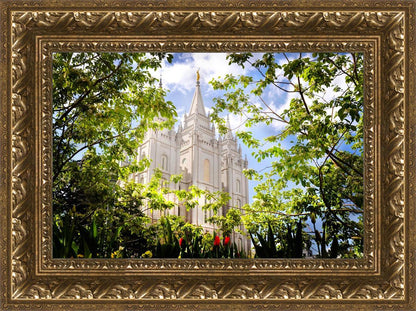 Salt Lake Glimpse of Eternity