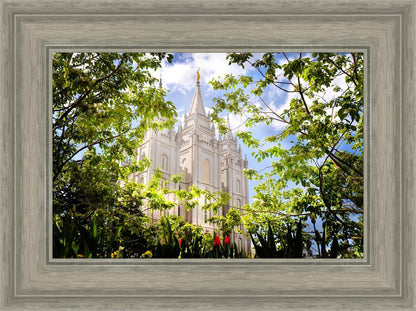 Salt Lake Glimpse of Eternity