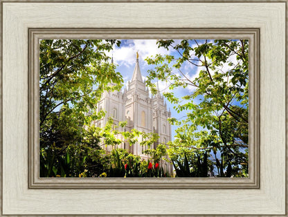 Salt Lake Glimpse of Eternity