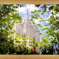 Salt Lake Glimpse of Eternity