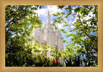 Salt Lake Glimpse of Eternity