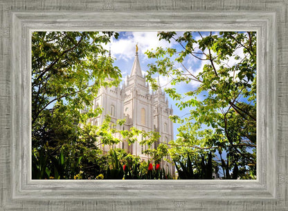 Salt Lake Glimpse of Eternity