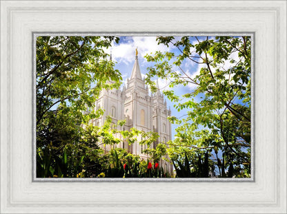 Salt Lake Glimpse of Eternity