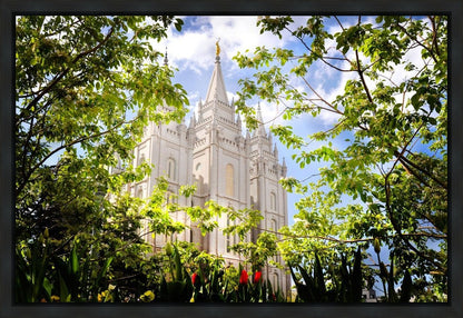 Salt Lake Glimpse of Eternity Gallery Wrap