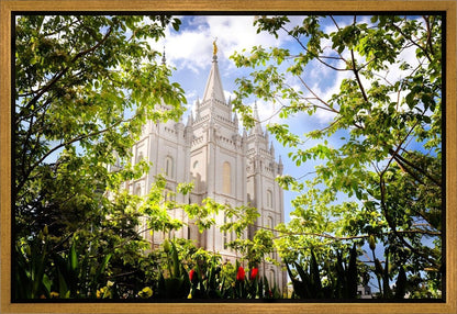 Salt Lake Glimpse of Eternity Gallery Wrap