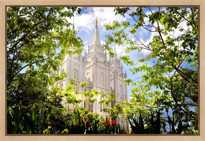 Salt Lake Glimpse of Eternity Gallery Wrap