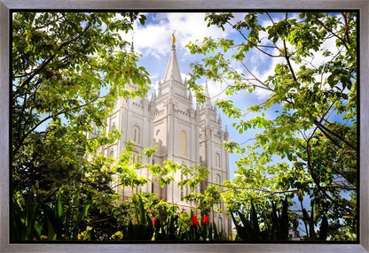 Salt Lake Glimpse of Eternity Gallery Wrap