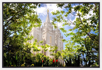 Salt Lake Glimpse of Eternity Gallery Wrap