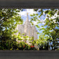 Salt Lake Glimpse of Eternity