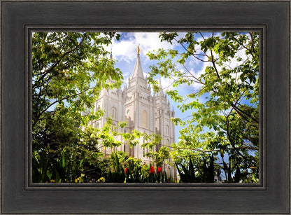 Salt Lake Glimpse of Eternity