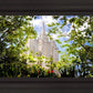 Salt Lake Glimpse of Eternity
