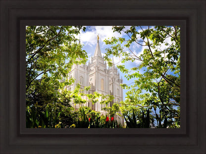 Salt Lake Glimpse of Eternity