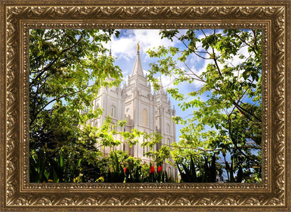 Salt Lake Glimpse of Eternity