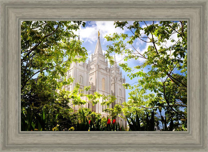 Salt Lake Glimpse of Eternity