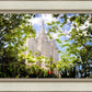 Salt Lake Glimpse of Eternity