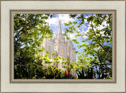 Salt Lake Glimpse of Eternity