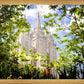 Salt Lake Glimpse of Eternity