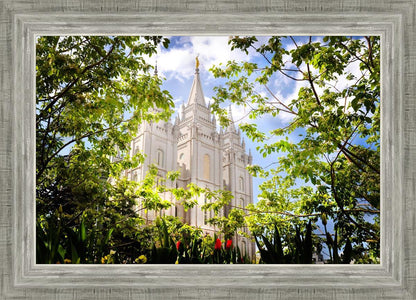 Salt Lake Glimpse of Eternity