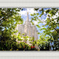Salt Lake Glimpse of Eternity
