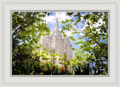 Salt Lake Glimpse of Eternity